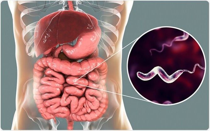 Paraziti uvolňují do těla toxiny a lék Vermixin vám pomůže se jich zbavit! 